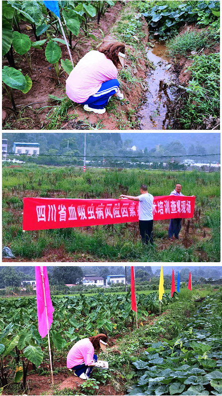 1625826175111766.jpg 微信图片_20210709161735.jpg