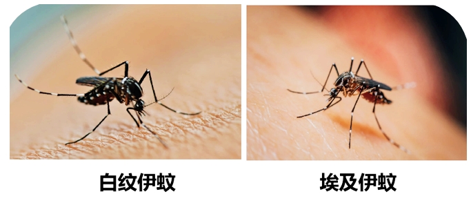 QQ20260425-123411.jpg