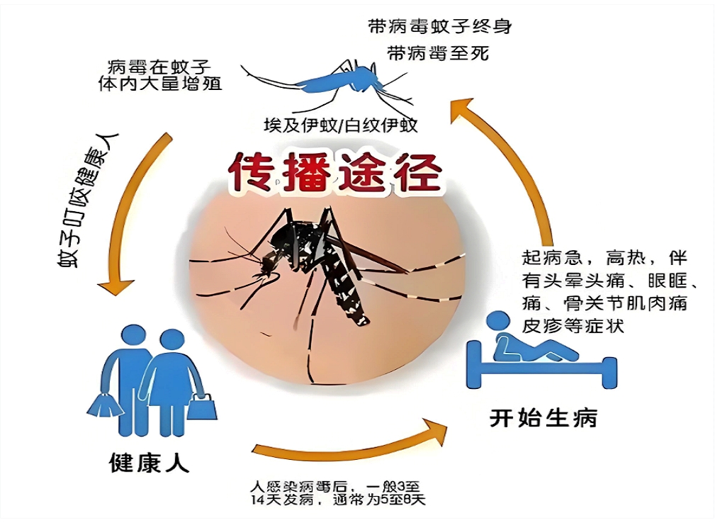 QQ20260527-183328.jpg