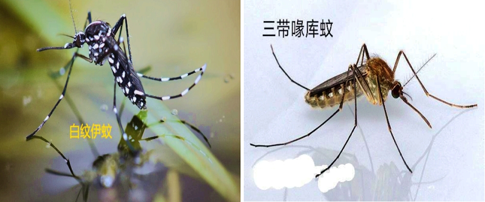 微信图片_20260527183548.jpg